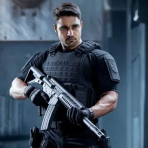 PSO Personal Security Officer Service